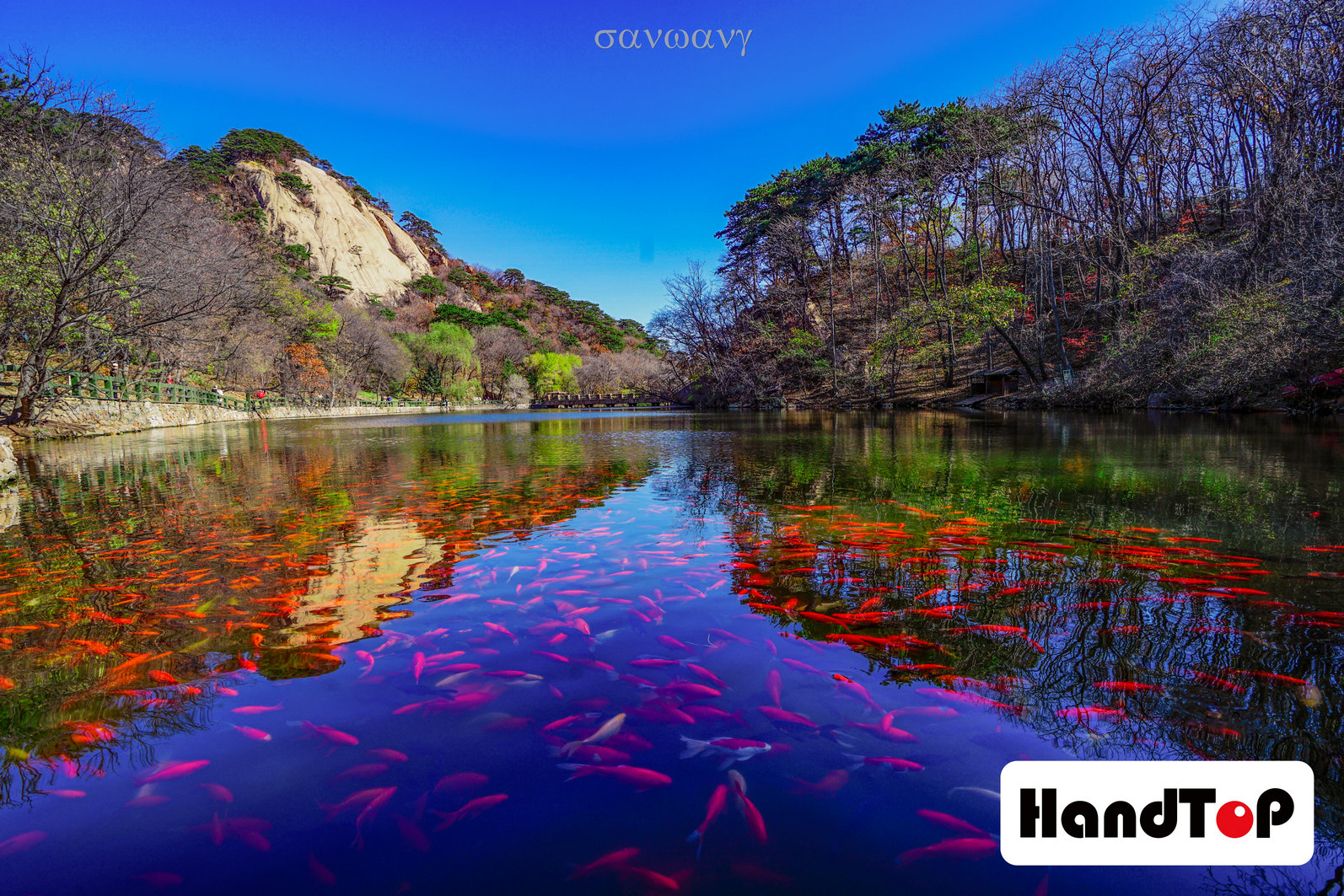 UV打印機打印實例春